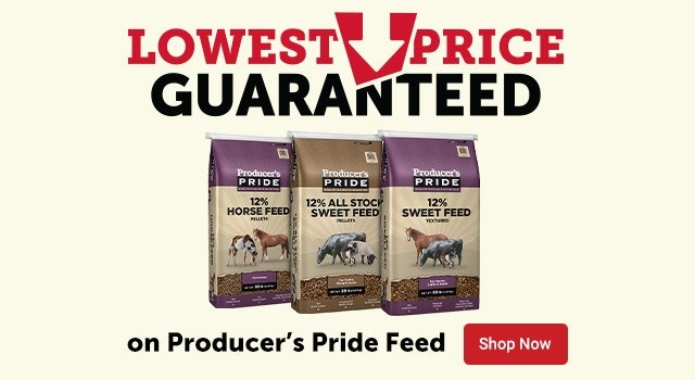 Lowest Price Guaranteed on Producer's Pride Feed. Shop Now