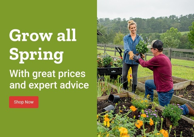 Grow all Spring with great prices and expert advice