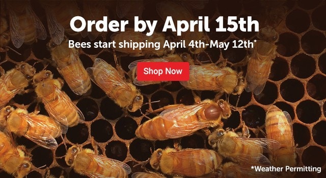 Pre Order Your Bees Today. Shop Now