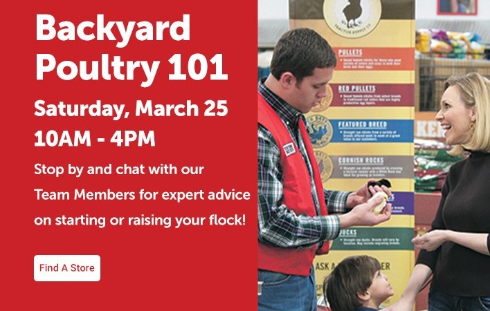 Backyard Poultry 101. Saturday, March 25th 10am to 4pm. Stop by and chat with our Team Members for expert advice on starting or raising your flock! Find a Store