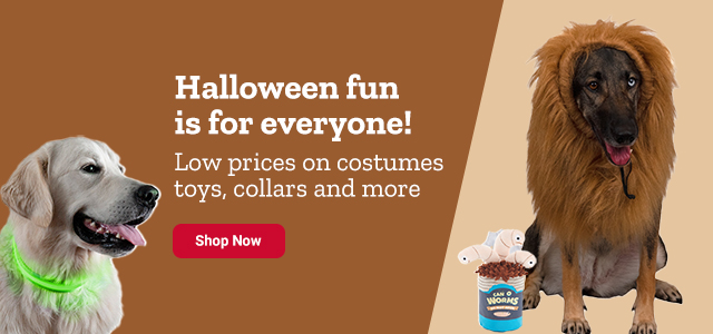 Halloween is fun for everyone. Low prices on costumes, toys, collars & more