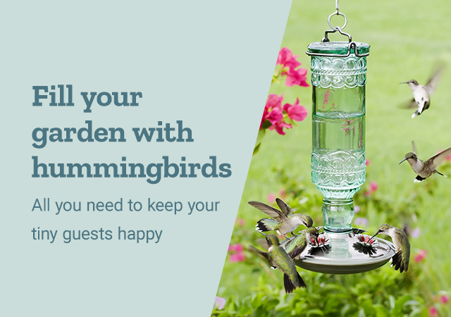 Fill your garden with hummingbirds. All you need to keep your tiny guests happy.