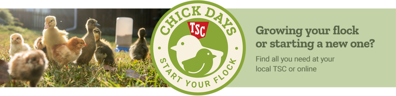 Chick Days TSC Start Your Flock. Growing your flock or starting a new one? Find all you need at your local TSC or online.