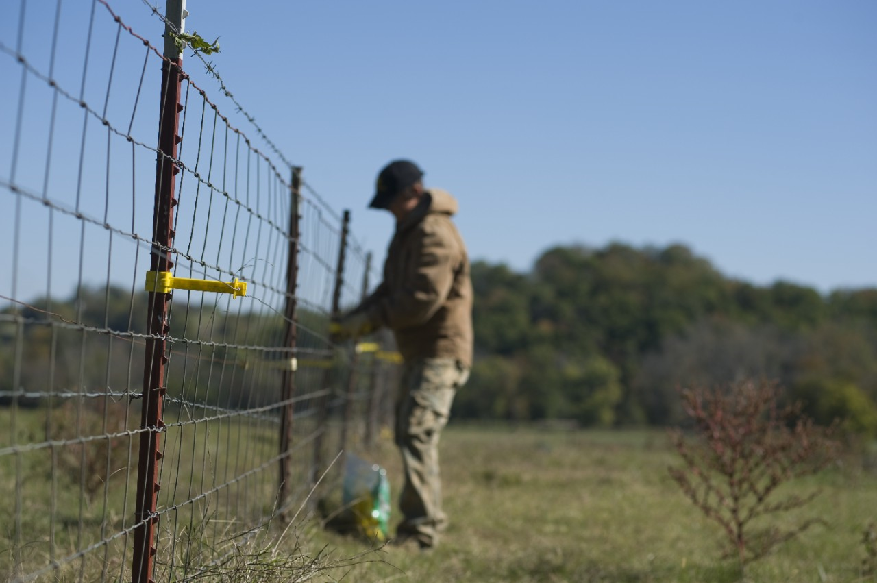 Image of a man installing insulators for electric fencing.