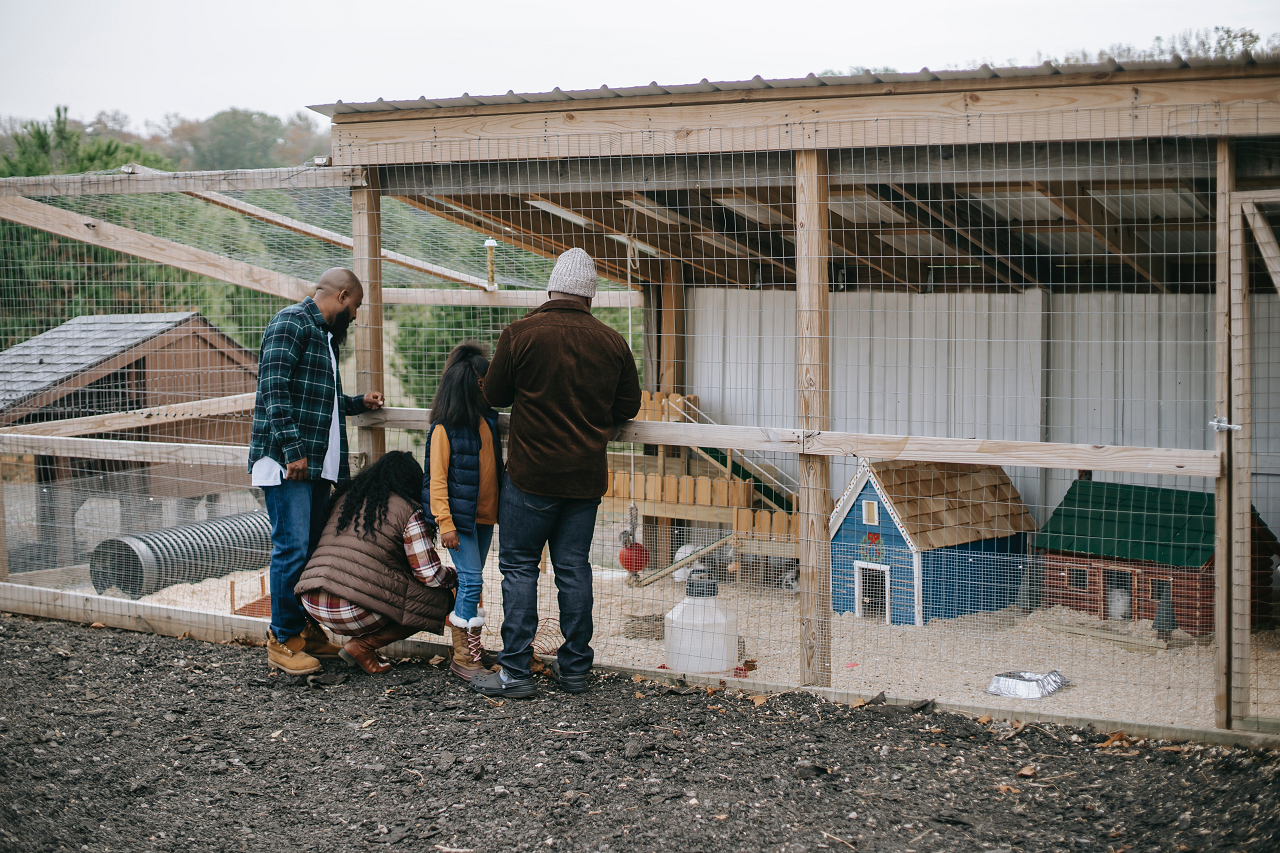 Image of a family standing need a wooden fence chicken pen.