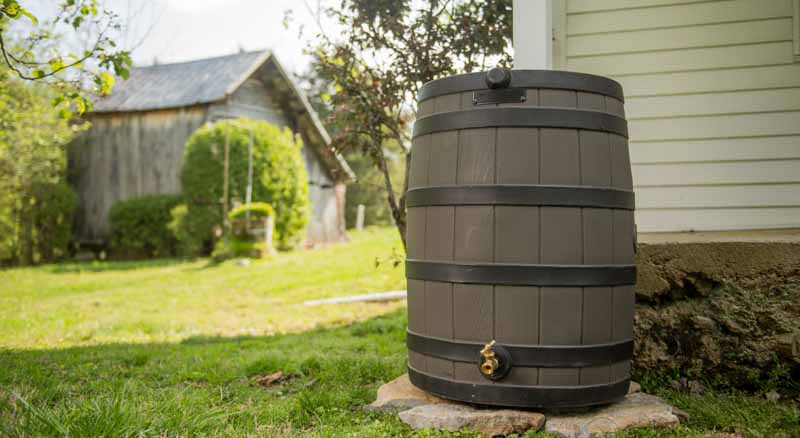 Rain Barrel 