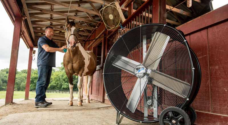 Man and horse outside barn with cooling fans