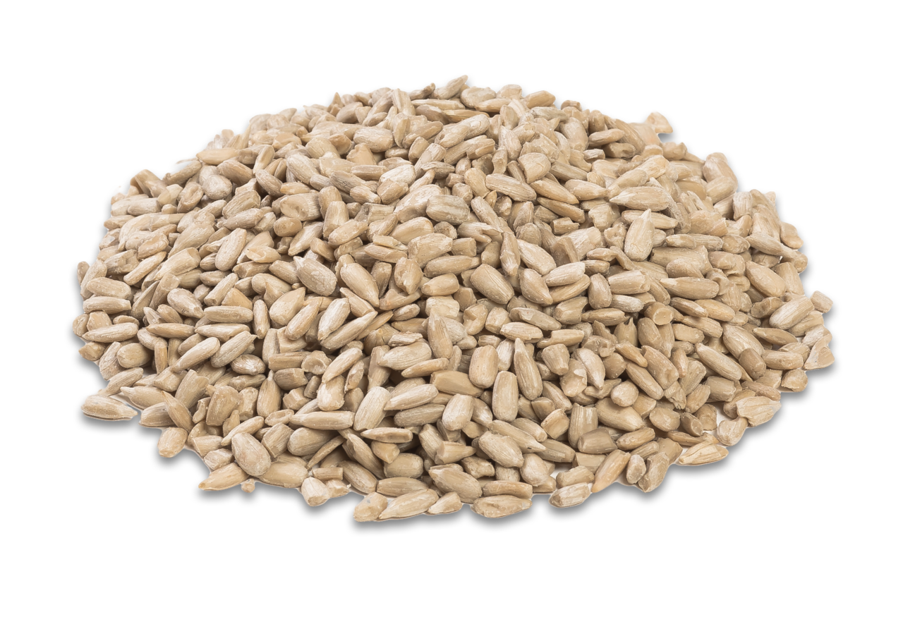 Image of unshelled sunflower bird food.