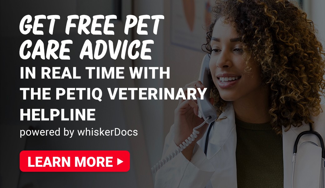 Get free pet care advice in real time with the PETIQ Veterinary helpline powered by whiskerDocs. Learn more.