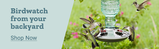 Birdwatch from your backyard. Shop Now