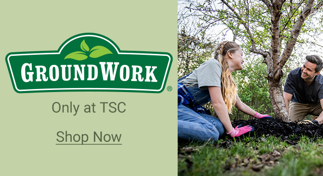 Groundwork. Only at TSC. Shop Now